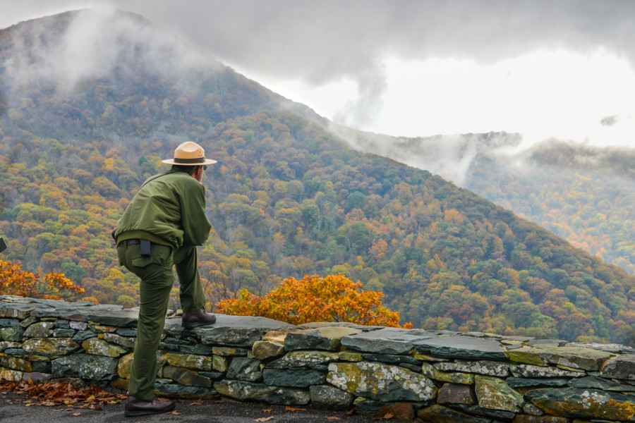 Garde forestier : un indispensable de la filière bois ?